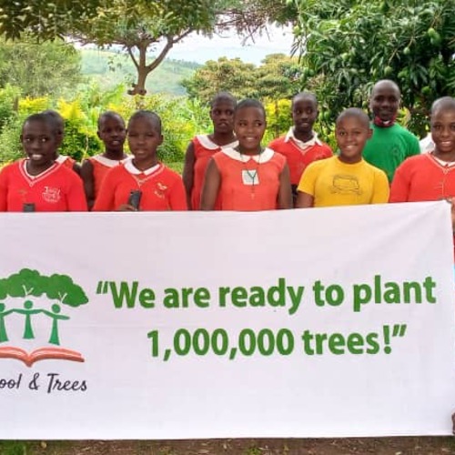 BJ PARTENAIRES devient un nouveau mécène pour l’association « SCHOOL AND TREES »
